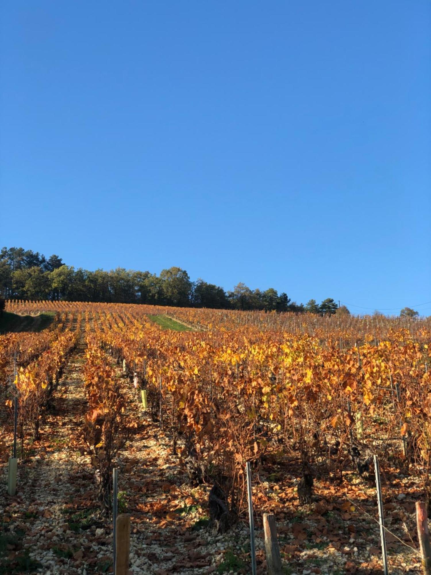 Vila L'Atypik Chablis Exteriér fotografie